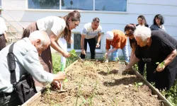 Bursa Nilüfer'de yaşlılar fideleri toprakla buluşturdu