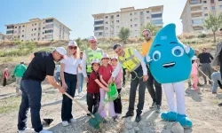 Denizli'de zeytin fidanları toprakla buluştu