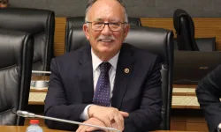 Milletvekili Kılıç'tan İznik Gölü için soru önergesi... Su kaybının nedenleri açıklansın!