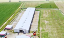 315,7 milyon liralık IPARD III hibe ödemeleri hesaplarda