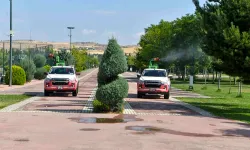 Ankara Büyükşehir'de ilaçlama seferberliği
