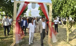 ATA Çiftliği'nde ilk dut toplandı
