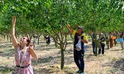 Başkentliler Ata Çiftliği'nde hasat yaptı