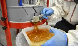 Başkentte ilk bal hasadı ATA Çiftliği'nde yapıldı