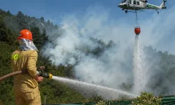 Bursa Orman Bölge'den yangın uyarısı... Rüzgar riski artırıyor!