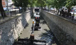 Bursa'da derelerde temizlik seferberliği başladı