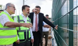 Bursa'da sokak hayvanları için doğal yaşam alanı