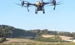 İpsala Ovası'nda kritik dönem
