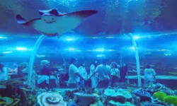Kocaeli'de Körfez Aqua 7'den 70'e herkesi büyüledi