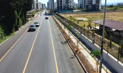 Mersin'de Gazi Paşa Caddesi 420 ağaçla yeşillendi