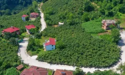 Ordu'da kırsal mahallelere beton yol konforu