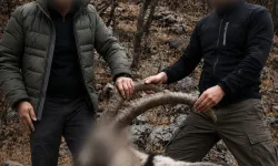 6 yıl önceki kaçak avın failleri tespit edildi! 5 yaban keçisi için ceza uygulandı