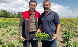 Ağrı Ozanlar Köyü'nde örnek üretim modeli