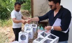 Antalya'da 800 dekar araziye faydalı böcek desteği