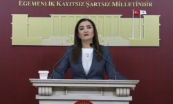 CHP Grup Başkanvekili Kılıç'tan 'silahsızlanma' vurgusu