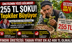 Fındıkta 255 TL Şoku! Üretici 'En Az 400 TL' diyor; Vatandaş tepkili...