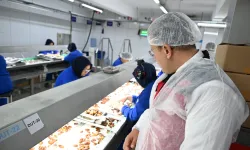 İzmir'de organik tarıma yerinde inceleme