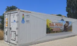 Manisalı arıcıların petekleri büyük balmumu güvesine karşı korunacak