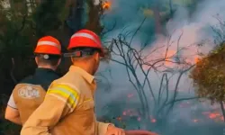 Marmaris Aksaz'daki orman yangını kontrol altına alındı