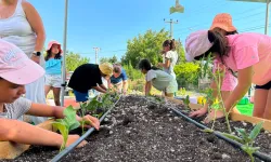 Muğla'da minik çiftçiler akademiyi tamamladı