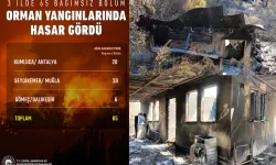 Son orman yangınlarında hasar ne kadar?