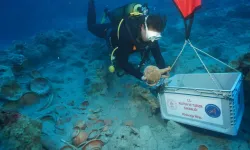 Akdeniz'in derinliklerinden 2 bin 100 yıllık sofra takımları çıkarılıyor