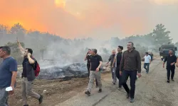 Antalya'da orman yangınlarında son durum
