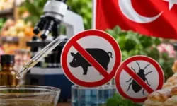 Aroma vericilere yeni düzenleme... Domuz ve böcek kaynaklı aroma vericiler yasaklandı