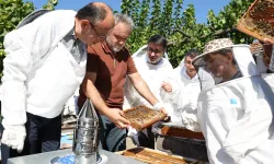 Bursa Büyükşehir'den Keles'te bal hasadı