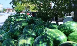 Denizli'de üreticinin imdadına Başkan Çavuşoğlu yetişti