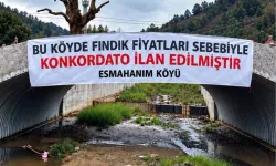 Düzce Akçakoca'da üreticinin fındık fiyatı tepkisi