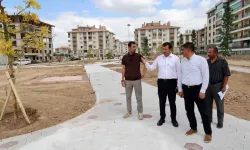 Konya Karatay'da yeşil dönüşüm mahallelerde sürüyor