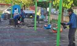 Muğla'da kamu kurumlarına Büyükşehir'den peyzaj desteği