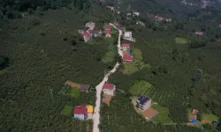 Ordu Aybastı'da ulaşım konforu artıyor