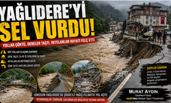 Yağlıdere'yi Sel Vurdu: Köy Yolları Çöktü, Hayat Felç oldu!...