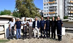 Antalya Muratpaşa'da Kahraman Fareler Projesi yerinde incelendi