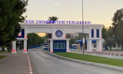 Ege Üniversitesi'nde sahipsiz köpek alarmı!