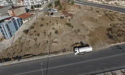 İzmir Buca'da 5 dönümlük alanda yeşil dönüşüm