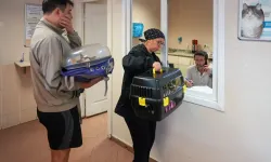 Maltepe'den sokaklarındaki can dostlarına ücretsiz muayene