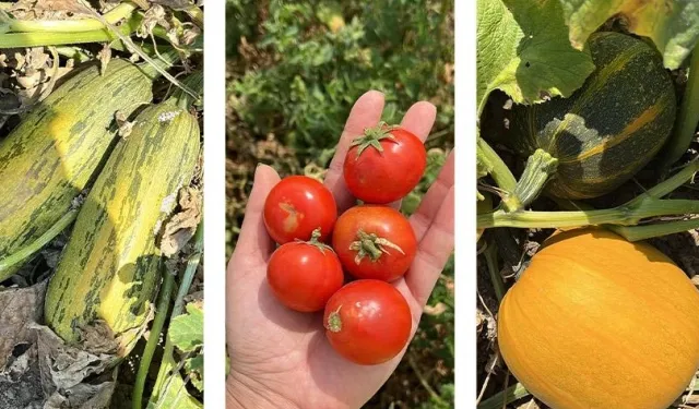 Balıkesir'de 'ümit var' sayısı 84'e yükseldi