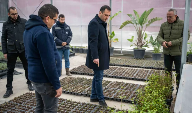 İzmir Bornova kendi yeşilini kendi üretiyor