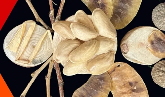 İzmit Oyuncak Müzesi'nde yaratıcı atölyeler sürüyor