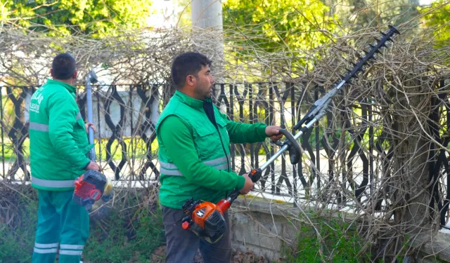 Muğla Milas'ta ilkbahar bakımları sürüyor