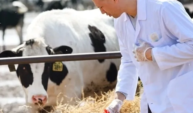 Tarımsal en yüksek girdi veteriner harcamaları zirvedeki yerini koruyor