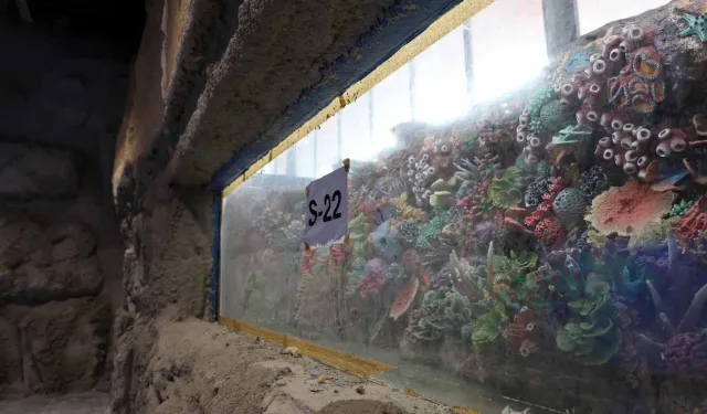 Kocaeli 'akvaryum' için geri sayım başladı... 30 farklı akvaryum eşsiz gezi yaşatacak