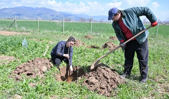 Antalya Büyükşehir ipek böceği yetiştiriciliğini yaygınlaştırıyor