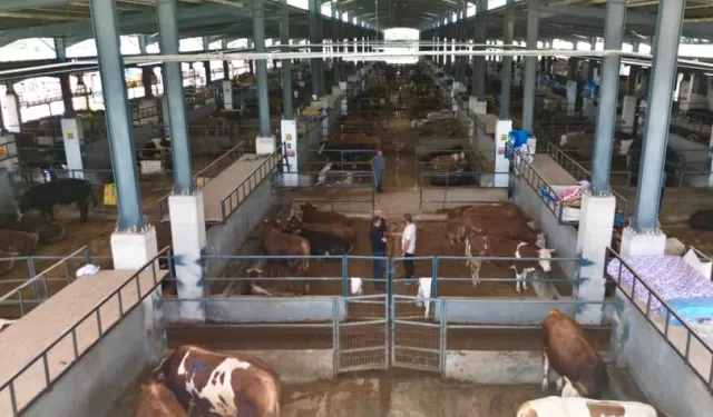 Bursa İnegöl'de modern hayvan pazarı yüzleri güldürdü