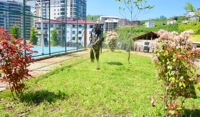 Giresun'da yaz mesaisine hız verildi