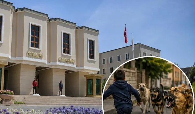 3 Belediye'ye Köpek (!) soruşturması!