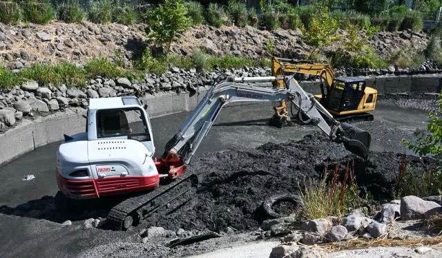 Manisa'da Safran Deresi temizleniyor